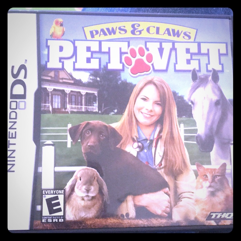 DS game